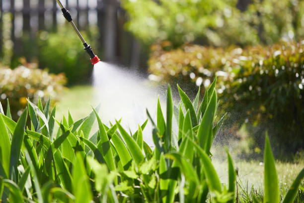 24/7 Emergency Rodent Control experts in Gordonsville, TN