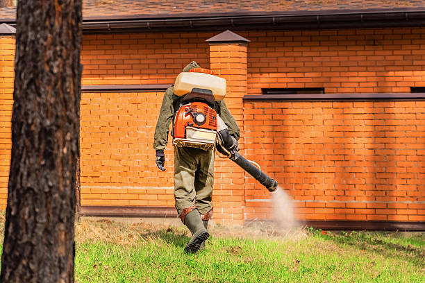 Trusted Ant Control service in Gordonsville, TN - Nex Pest Control